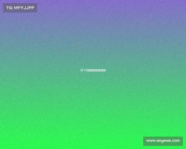 WTA全年赛事奖金全景深度解析